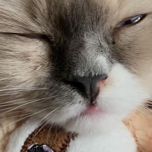 Meet your Posher, Courtney